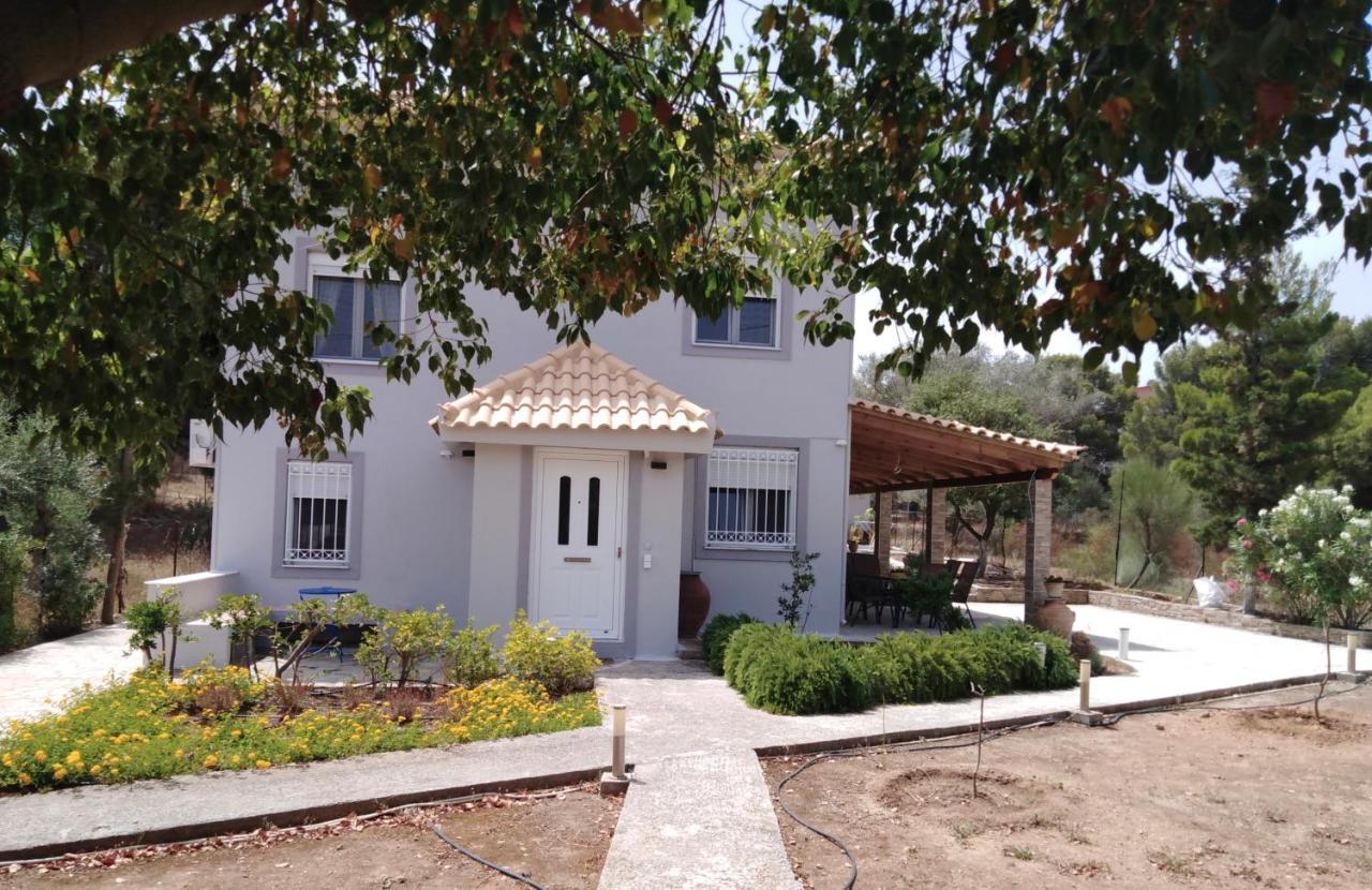 Studio Katafigi Anavyssos Exterior photo